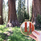 Complete Sequoia Grove Intermediate Kit held in front of the Sequoias that inspired the kit.