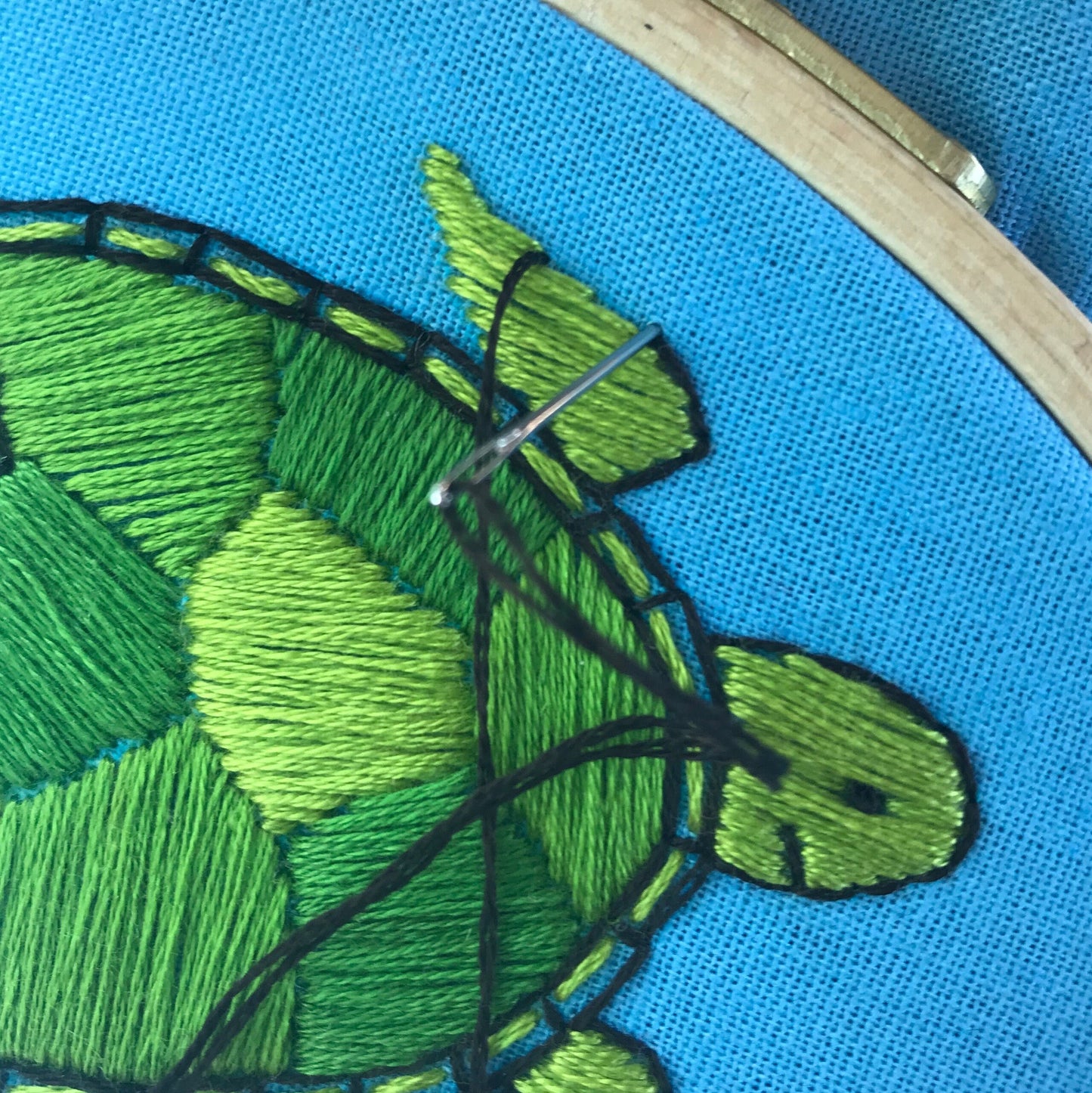 Green Sea Turtle: Design Your Own PDF Embroidery Pattern