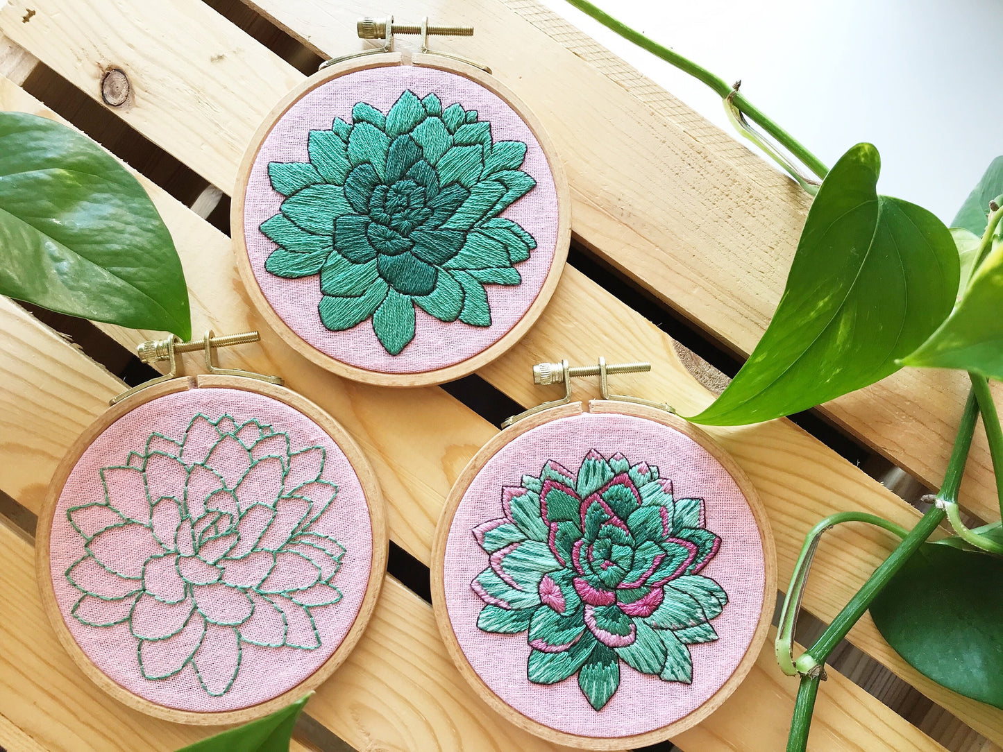 Sweet Succulents: Choose Your Skill Level Embroidery Kit