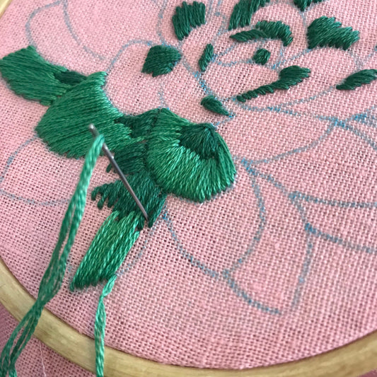 Sweet Succulents: Choose Your Skill Level Embroidery Kit